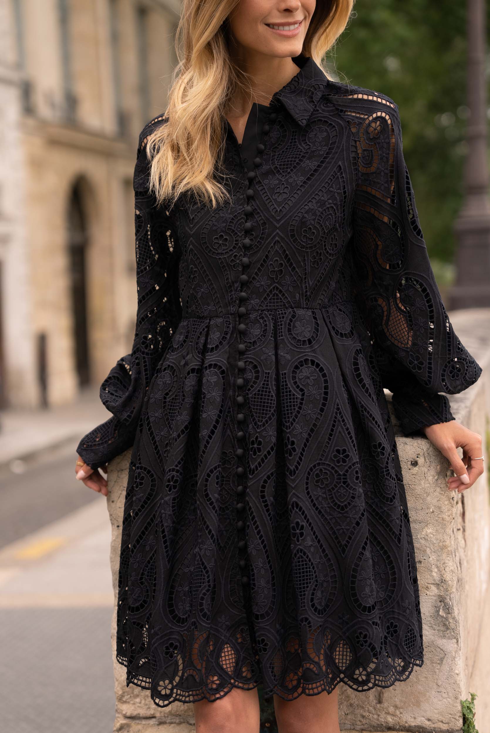 Sonia lace skater dress