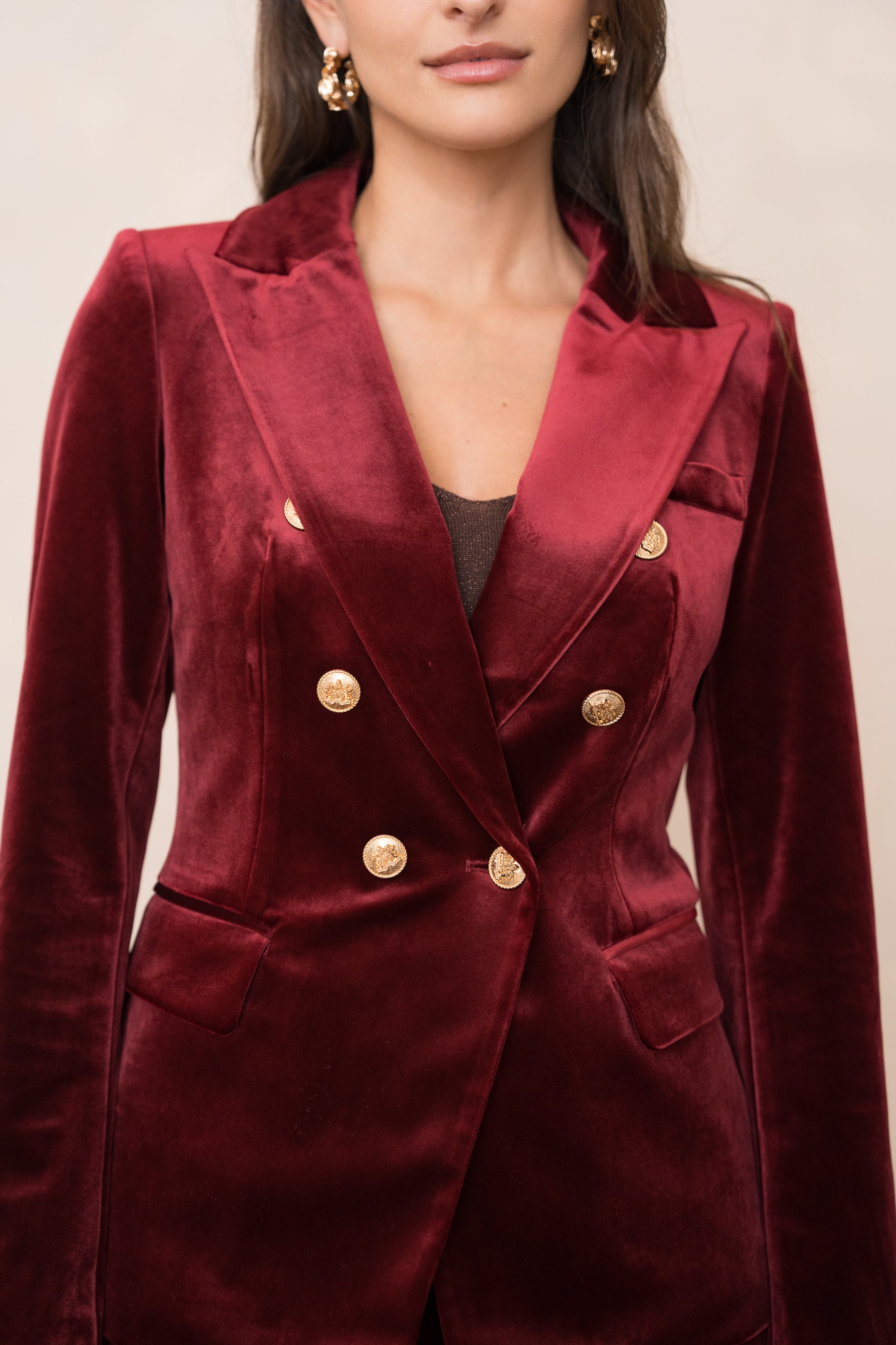 Gabrielle Velvet Blazer Jacket