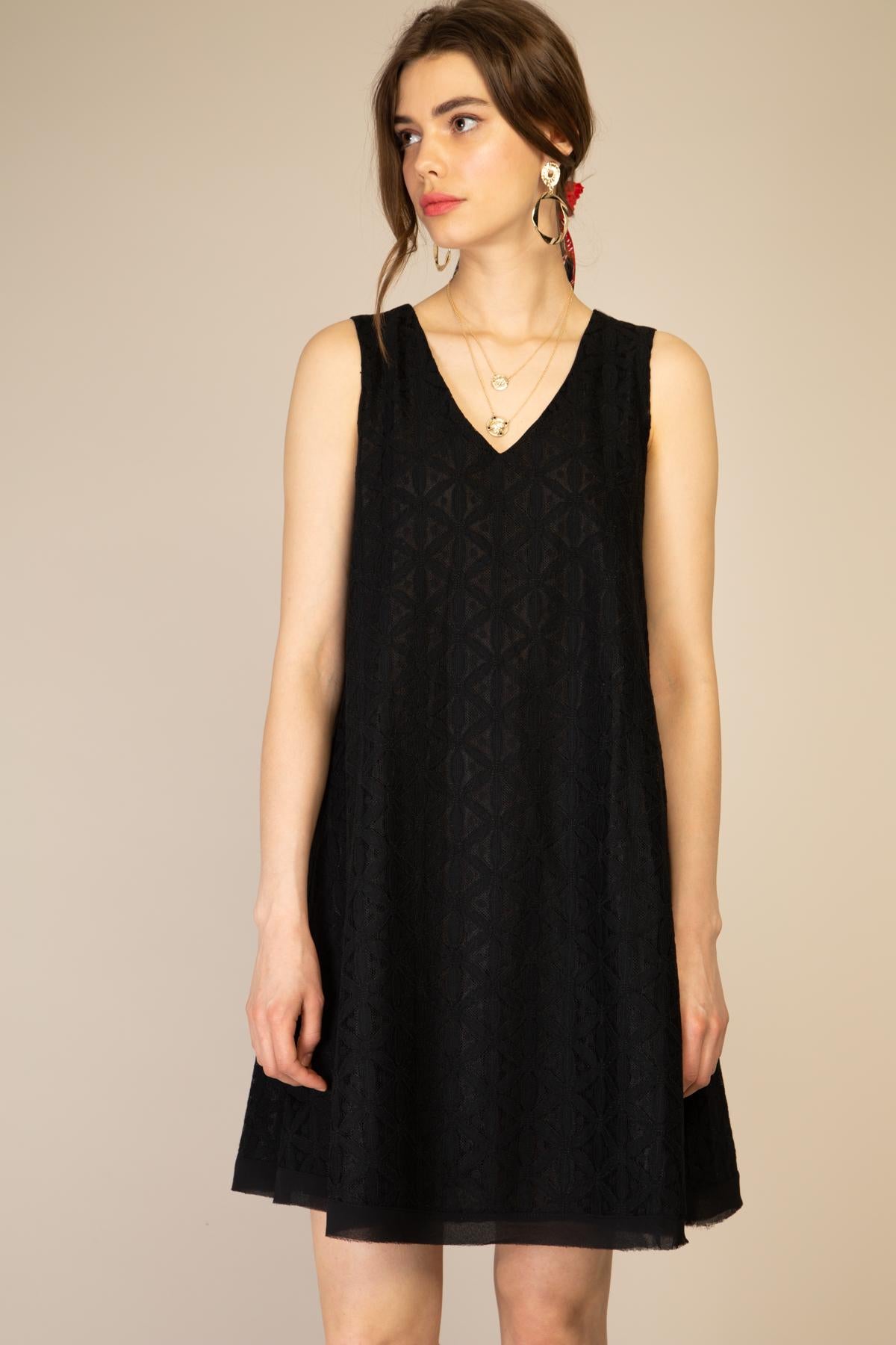 Sonia lace skater dress